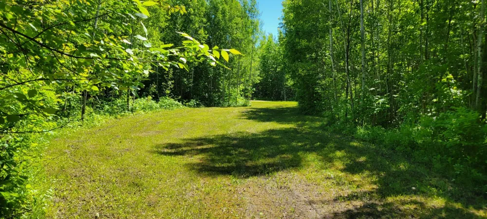 1634 County Road 117 Baudette, MN 56623