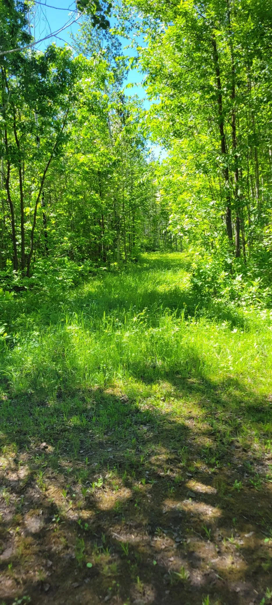 1634 County Road 117 Baudette, MN 56623