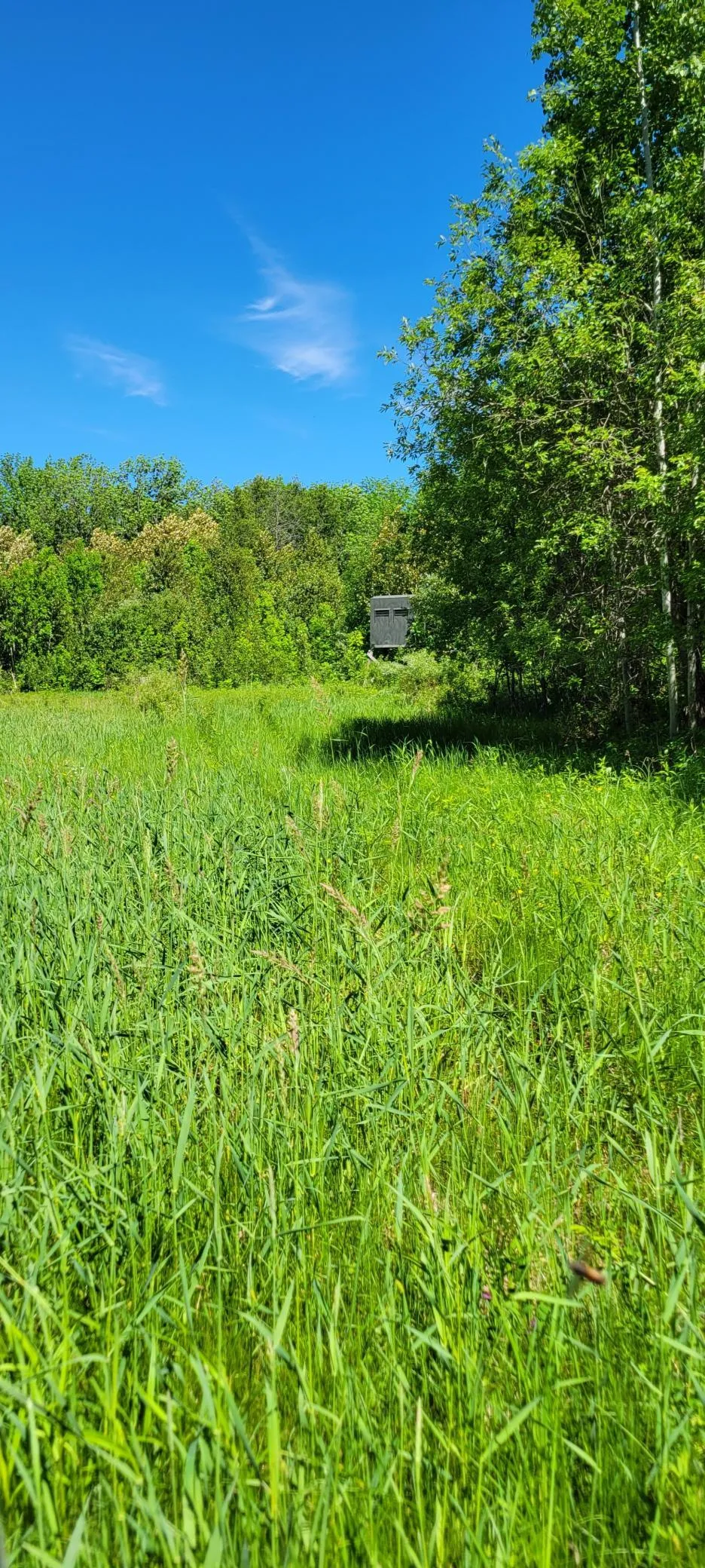 1634 County Road 117 Baudette, MN 56623