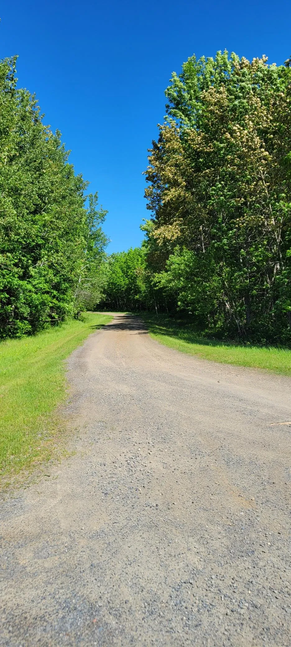1634 County Road 117 Baudette, MN 56623