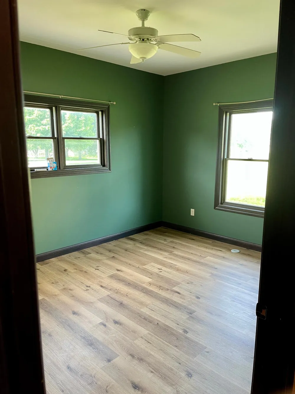 994 North Street Wabasso, MN 56293