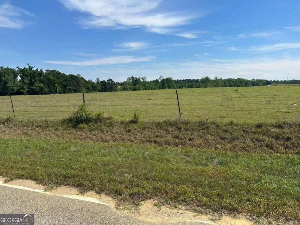 2905 Donald Cobb RD Bartow, GA 30413