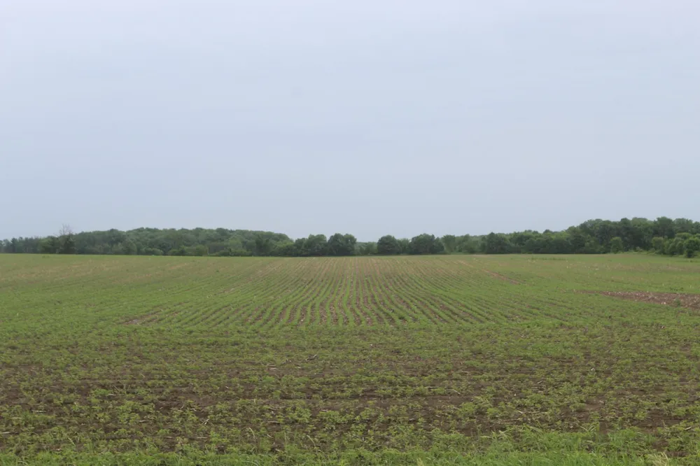 TBD-2 120th Avenue Ogilvie, MN 56358
