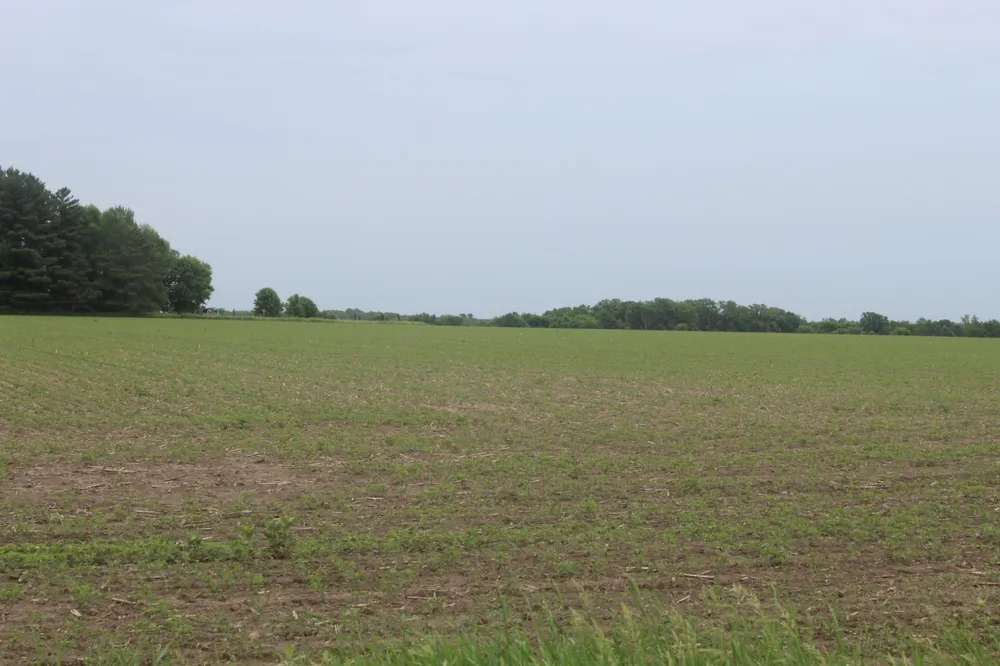 TBD-2 120th Avenue Ogilvie, MN 56358