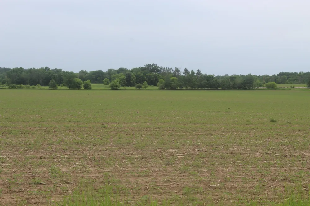 TBD-2 120th Avenue Ogilvie, MN 56358