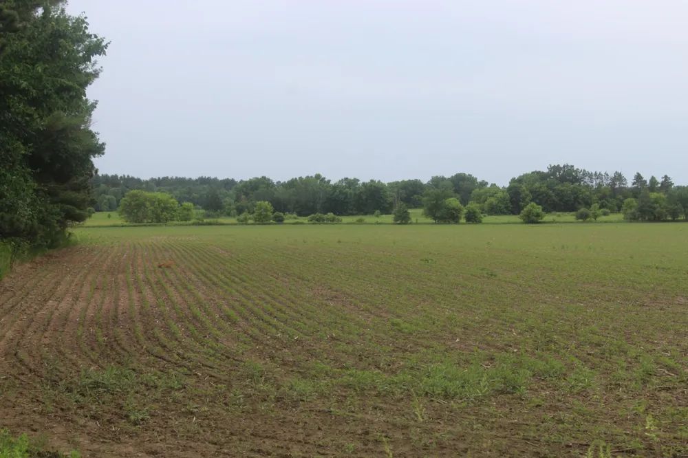 TBD-2 120th Avenue Ogilvie, MN 56358