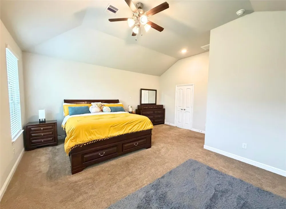 244 Upland Drive Waller, TX 77484
