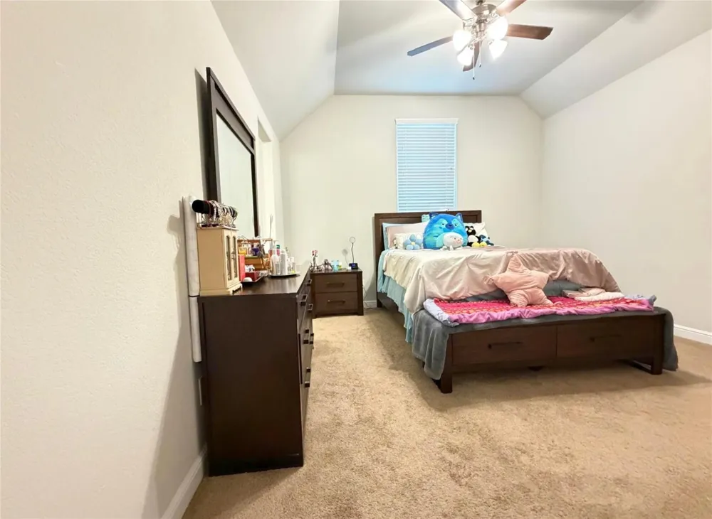 244 Upland Drive Waller, TX 77484