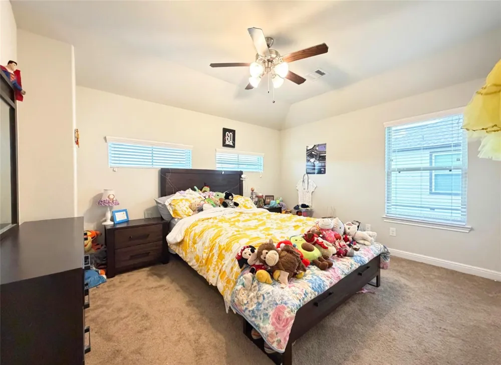 244 Upland Drive Waller, TX 77484