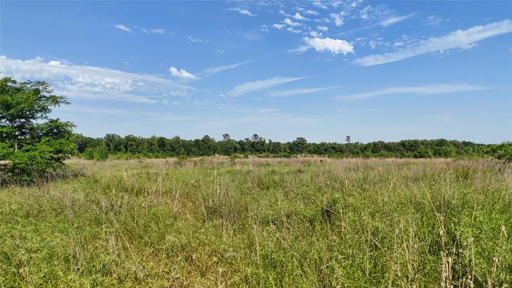 4621 Annona, TX 75550