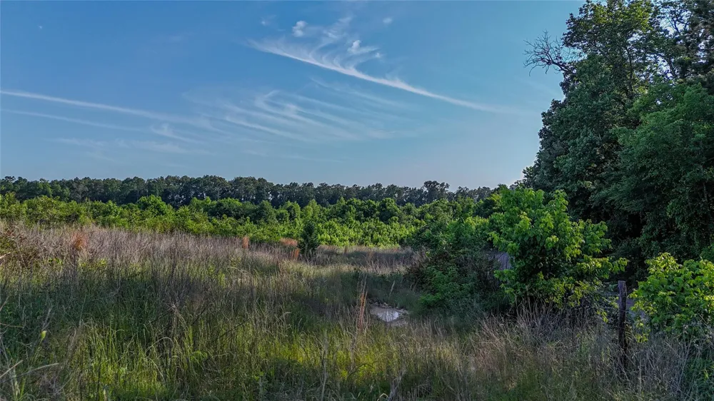 4621 Annona, TX 75550