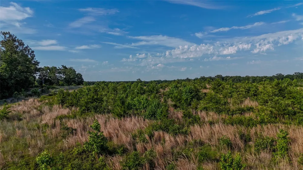 4621 Annona, TX 75550