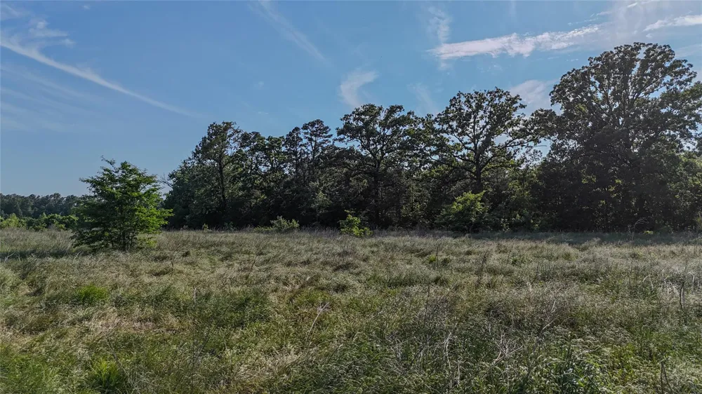 4621 Annona, TX 75550
