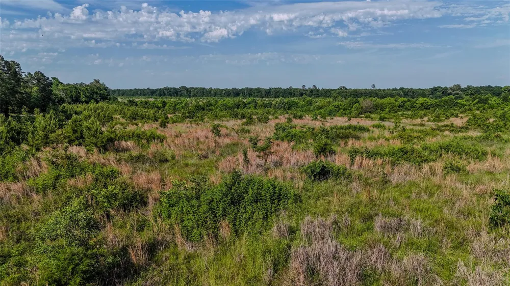 4621 Annona, TX 75550