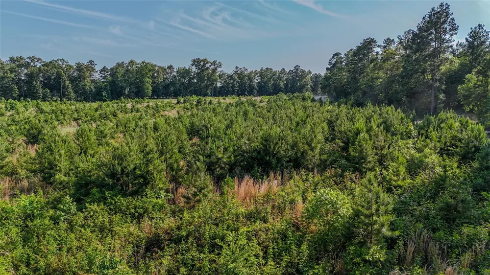 4621 Annona, TX 75550