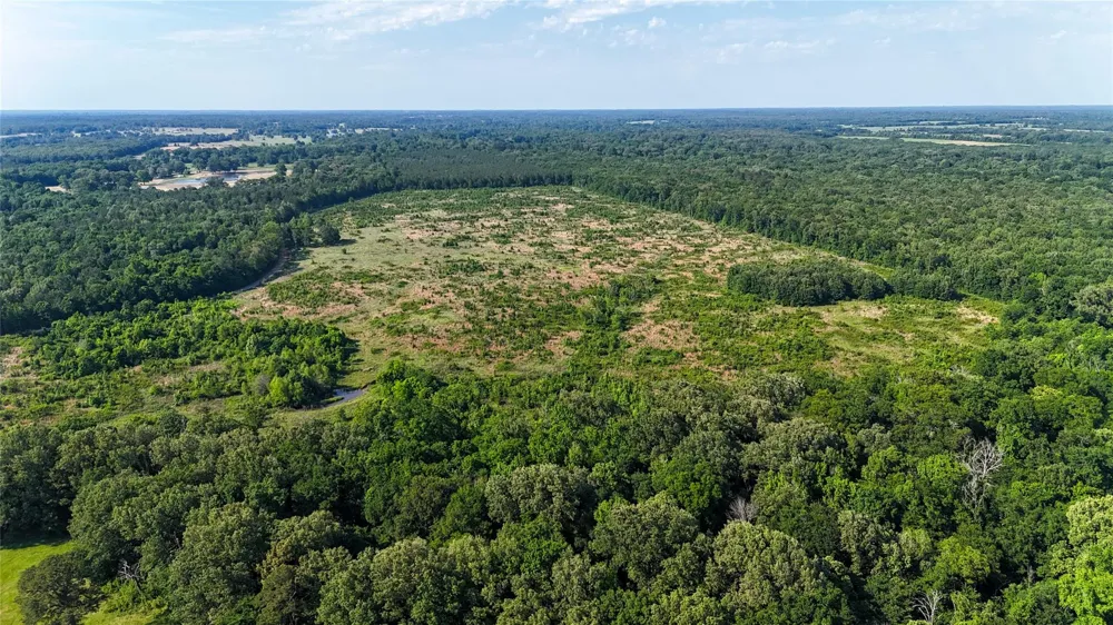 4621 Annona, TX 75550