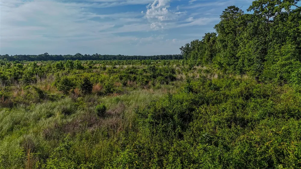 4621 Annona, TX 75550