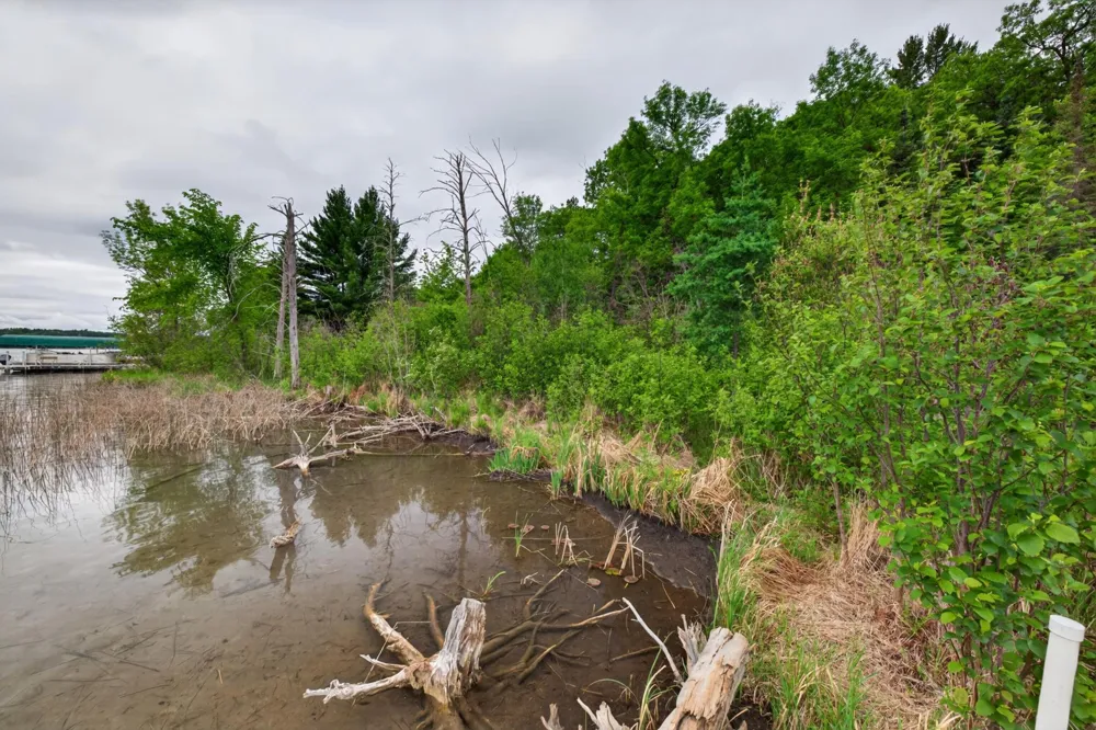 22984 County 7 Park Rapids, MN 56470