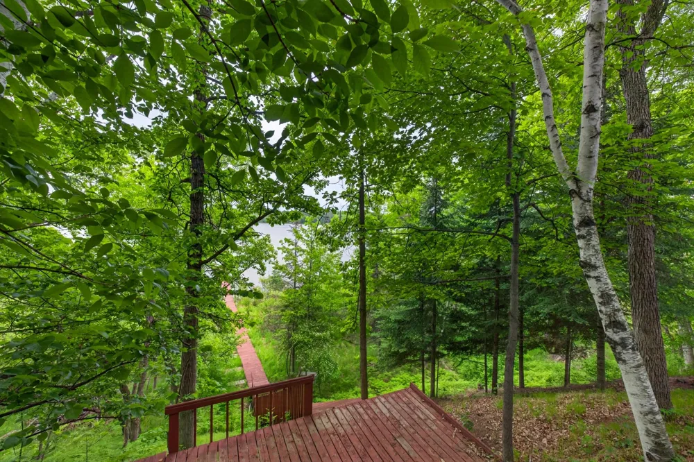 22984 County 7 Park Rapids, MN 56470