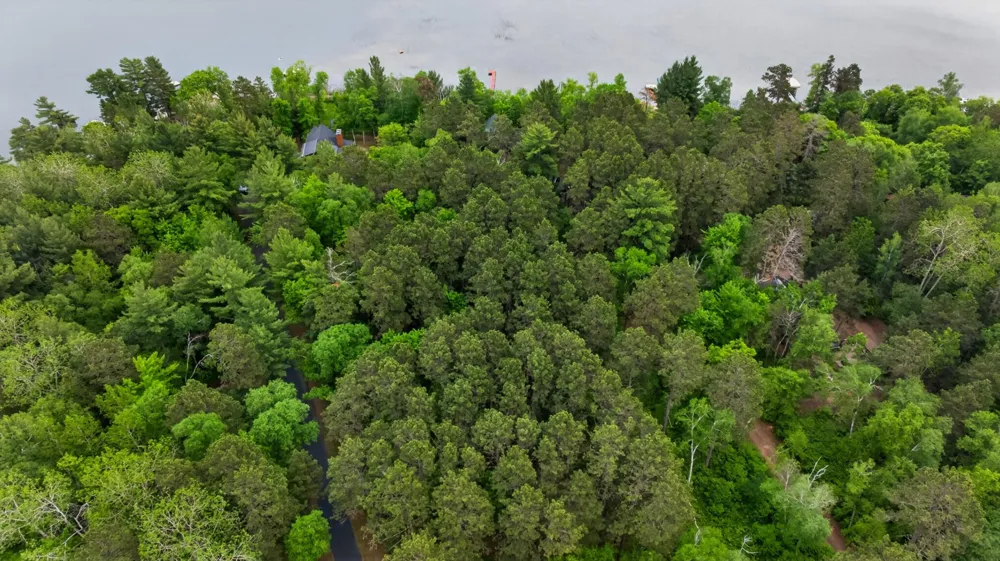 22984 County 7 Park Rapids, MN 56470