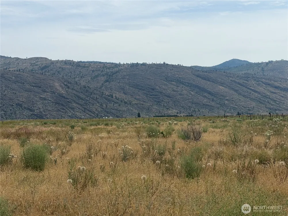 152 Green Acres Road Riverside, WA 98841