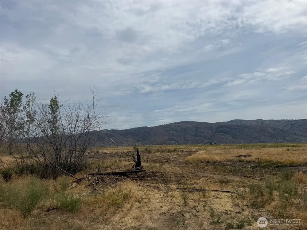 152 Green Acres Road Riverside, WA 98841