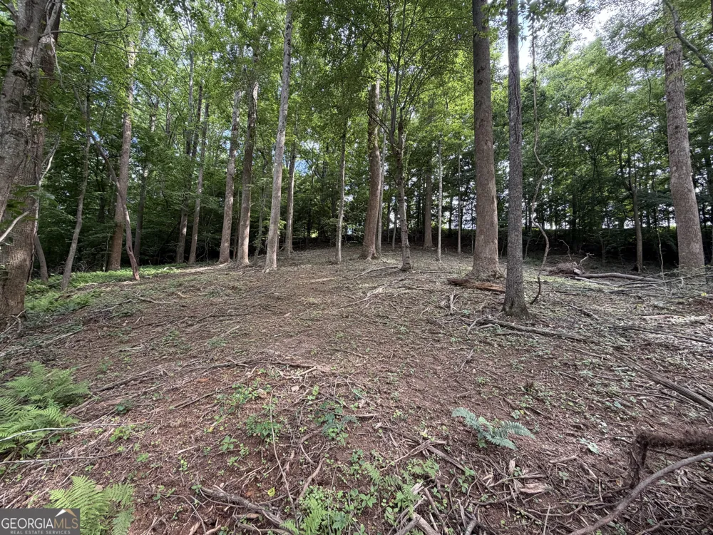 0 Martin Head CIR Dahlonega, GA 30533