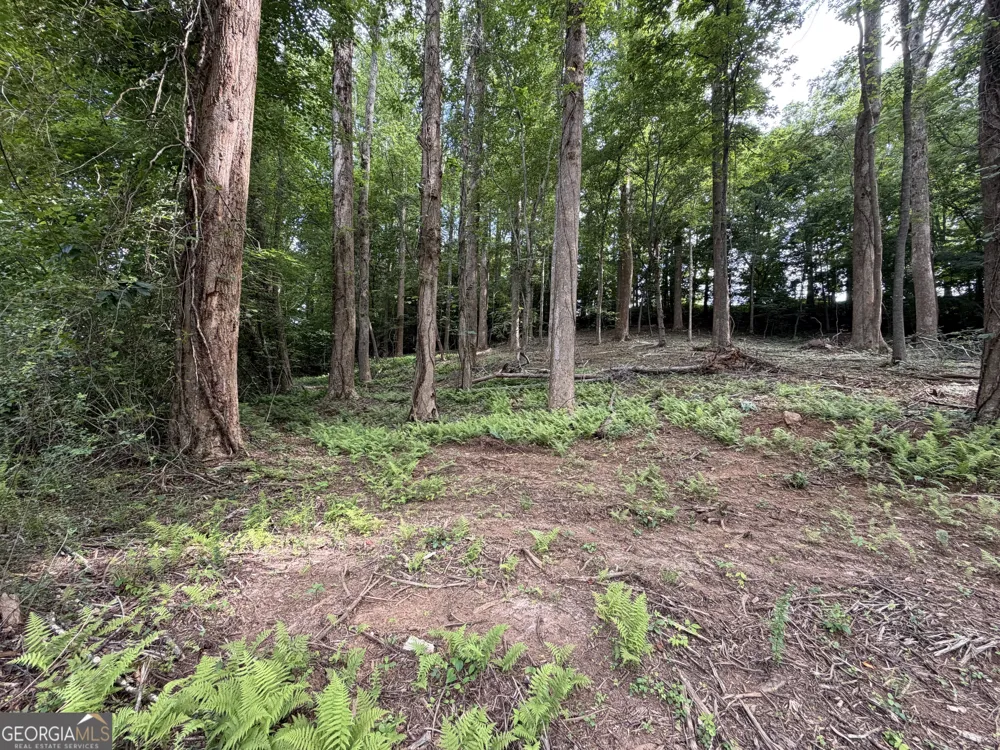 0 Martin Head CIR Dahlonega, GA 30533
