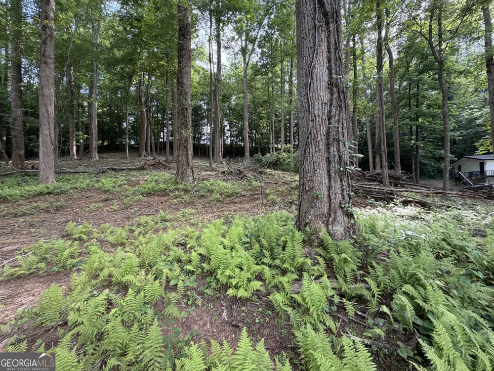 0 Martin Head CIR Dahlonega, GA 30533
