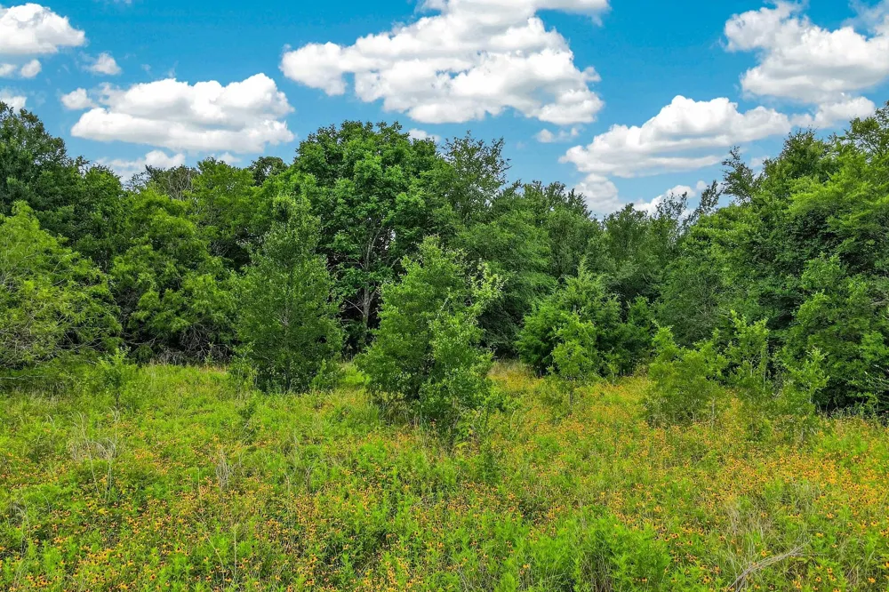 5955 Lynette Circle Bryan, TX 77807