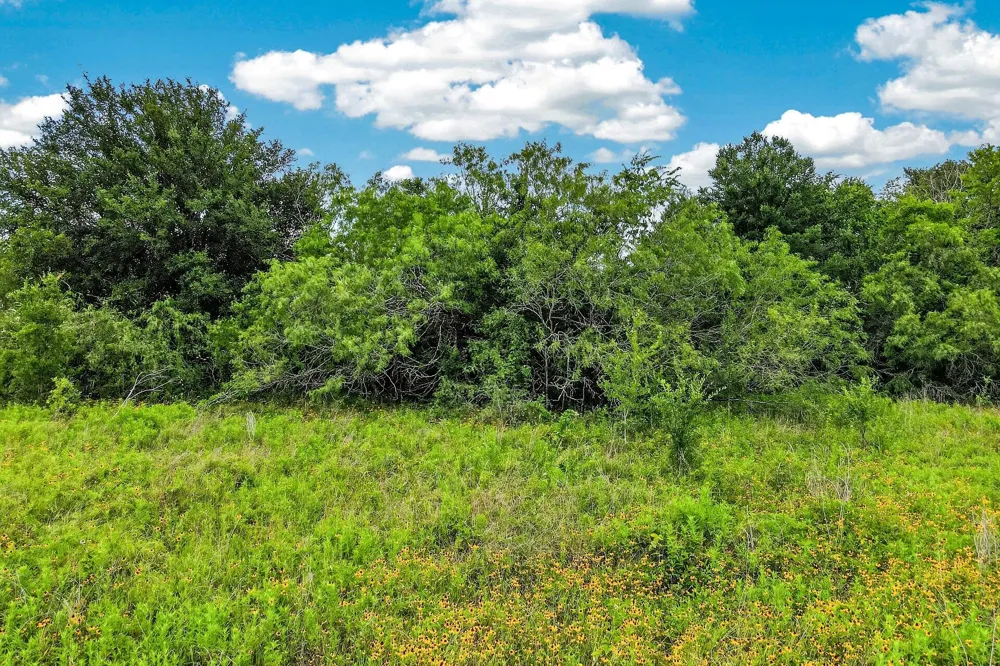 5955 Lynette Circle Bryan, TX 77807