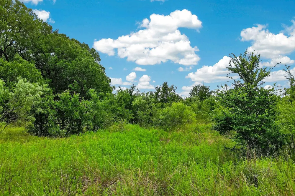 5955 Lynette Circle Bryan, TX 77807