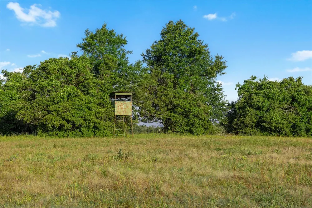 Little Mississippi Cemetery Road Franklin, TX 77856