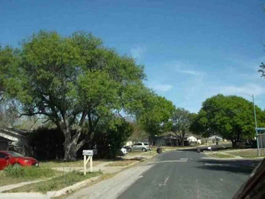 6035 Little Brandywine Creek San Antonio, TX 78233