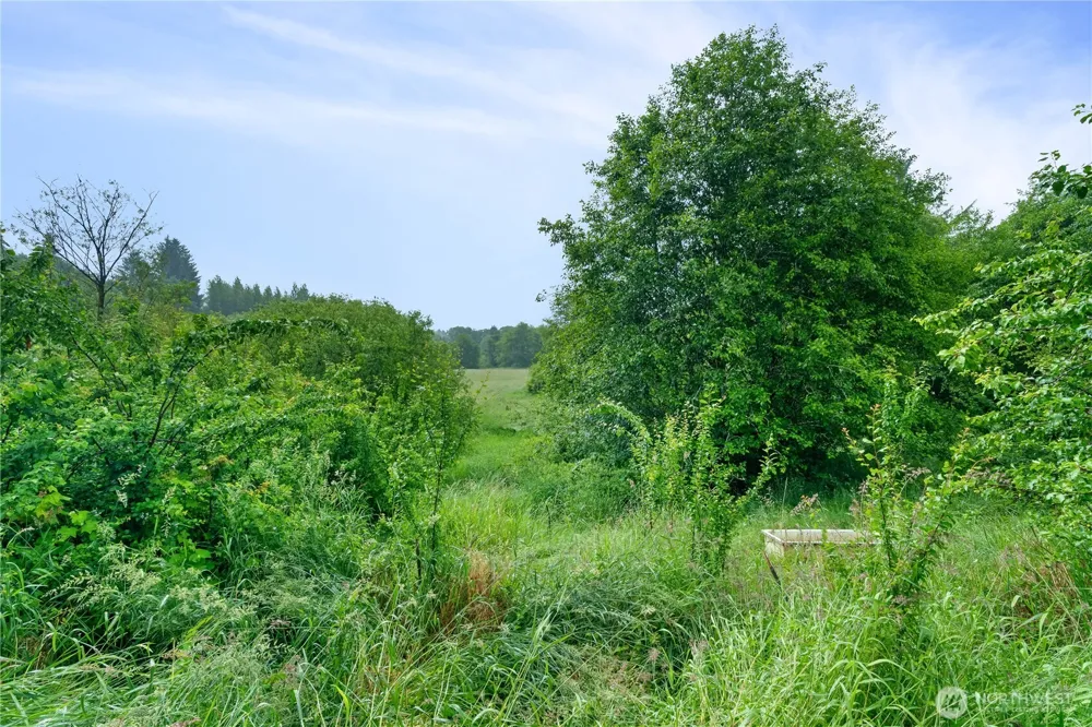 1904 North River Road Cosmopolis, WA 98537