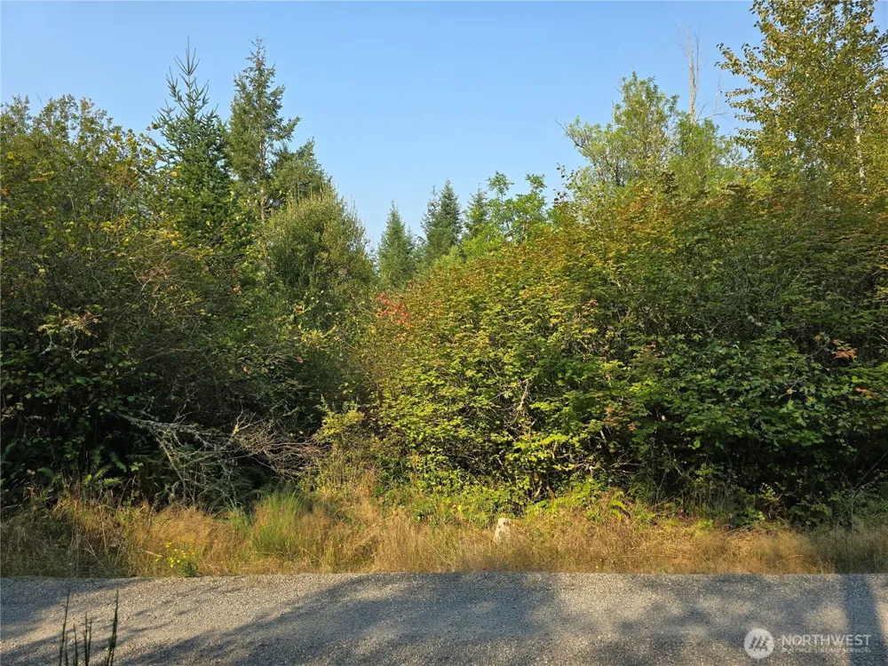 13849 Starflower Lane SE Yelm, WA 98597