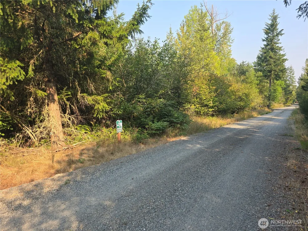 13849 Starflower Lane SE Yelm, WA 98597