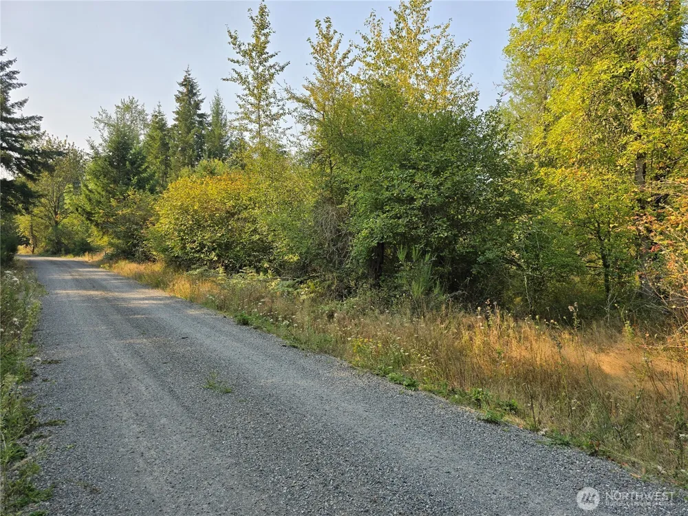 13849 Starflower Lane SE Yelm, WA 98597