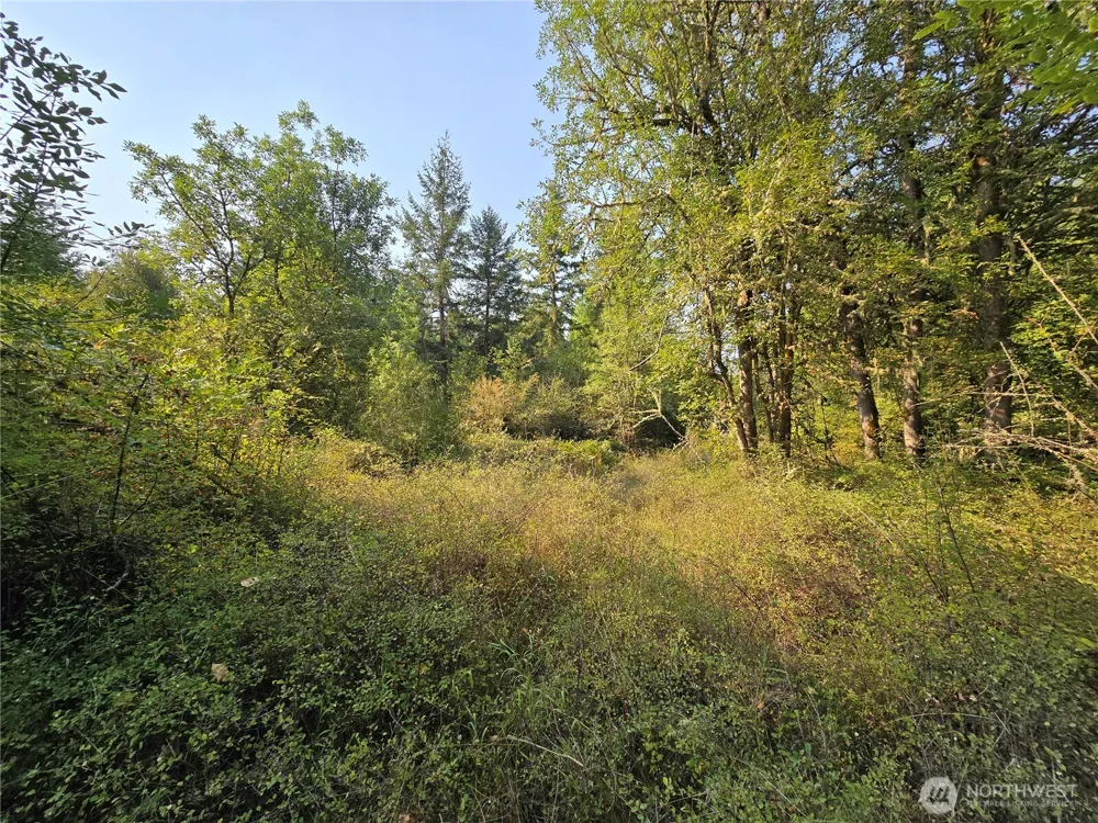 13849 Starflower Lane SE Yelm, WA 98597