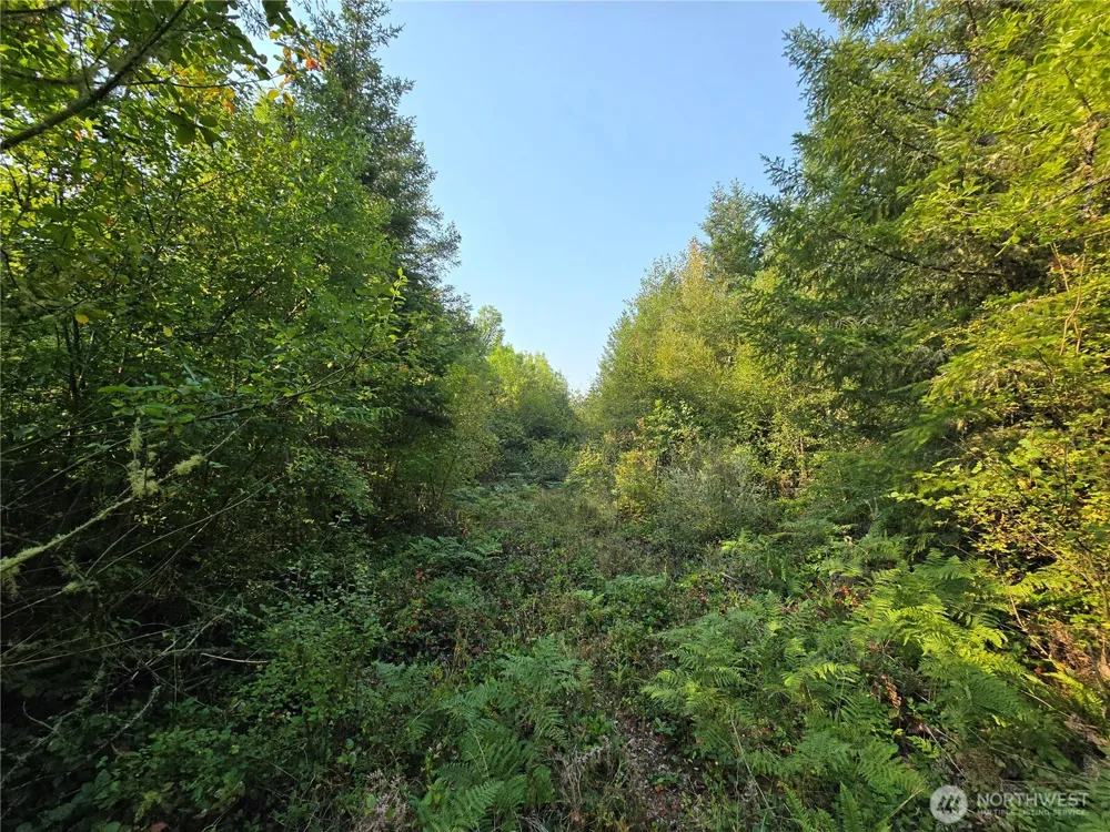 13849 Starflower Lane SE Yelm, WA 98597