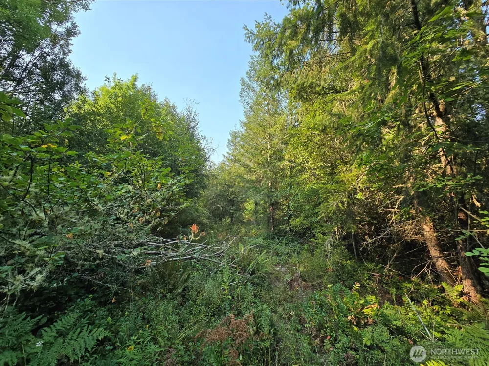 13849 Starflower Lane SE Yelm, WA 98597