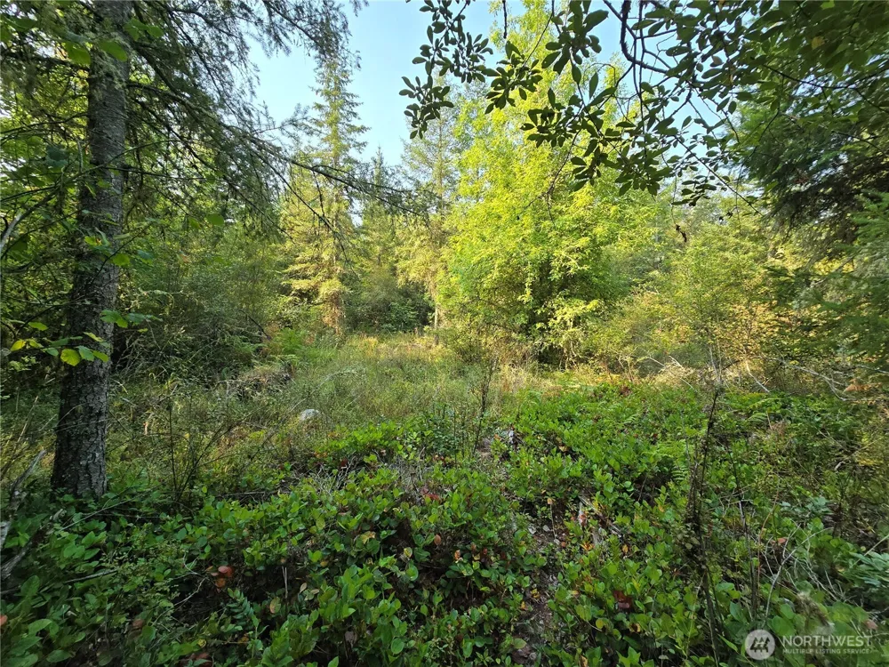 13849 Starflower Lane SE Yelm, WA 98597