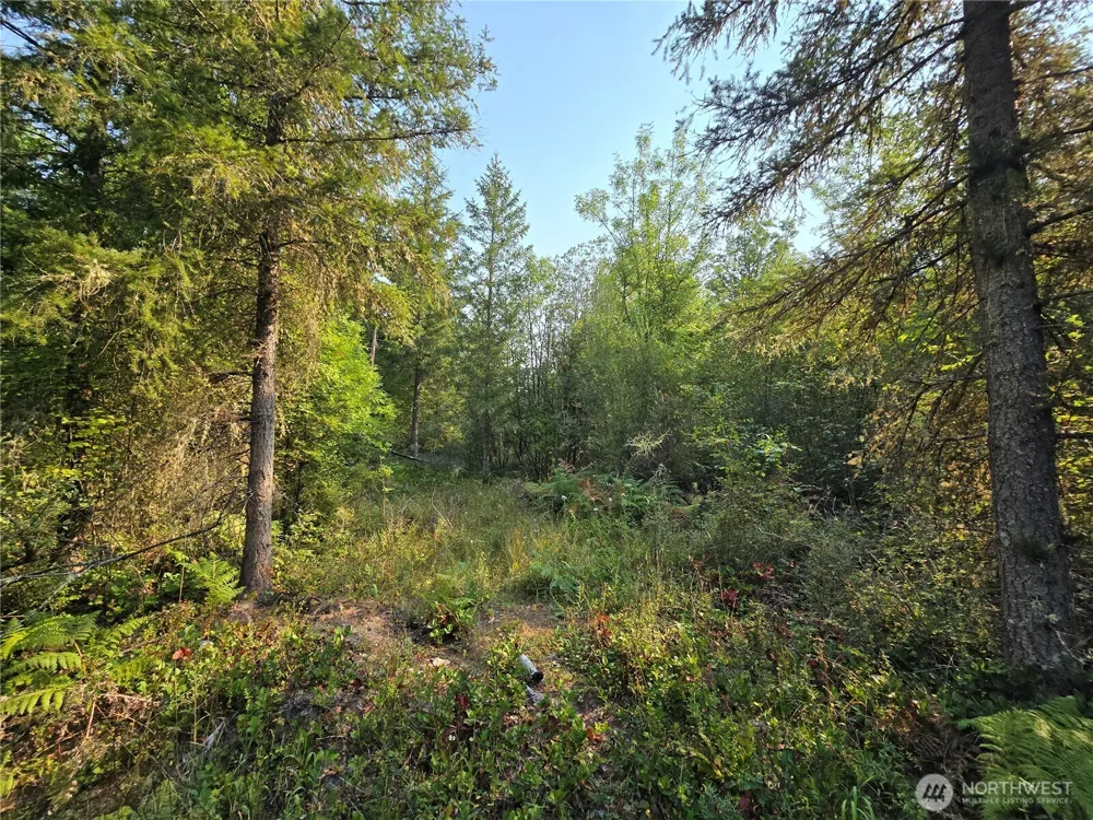 13849 Starflower Lane SE Yelm, WA 98597