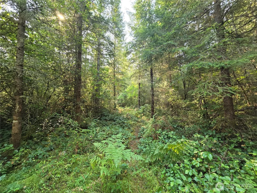 13849 Starflower Lane SE Yelm, WA 98597