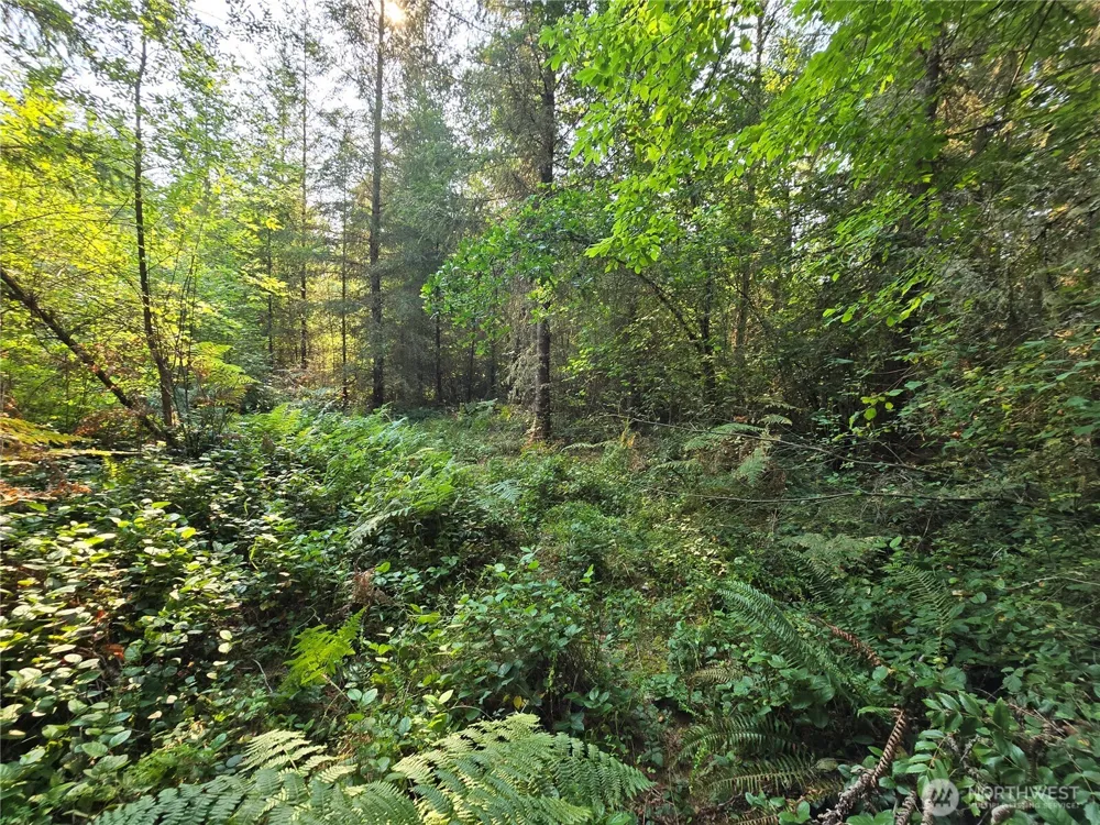 13849 Starflower Lane SE Yelm, WA 98597