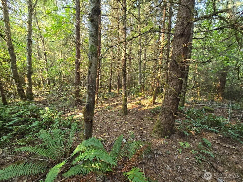 13849 Starflower Lane SE Yelm, WA 98597