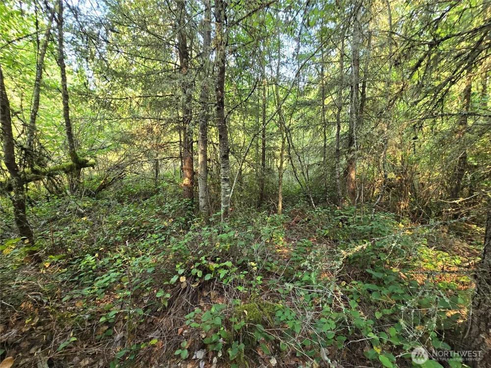 13849 Starflower Lane SE Yelm, WA 98597