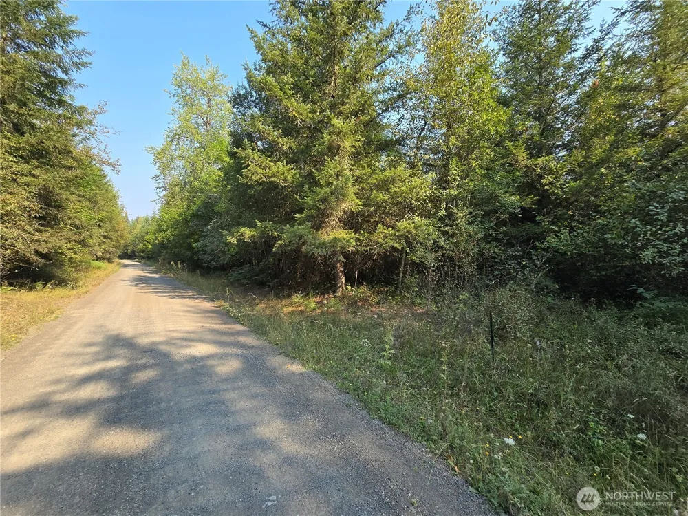 13849 Starflower Lane SE Yelm, WA 98597
