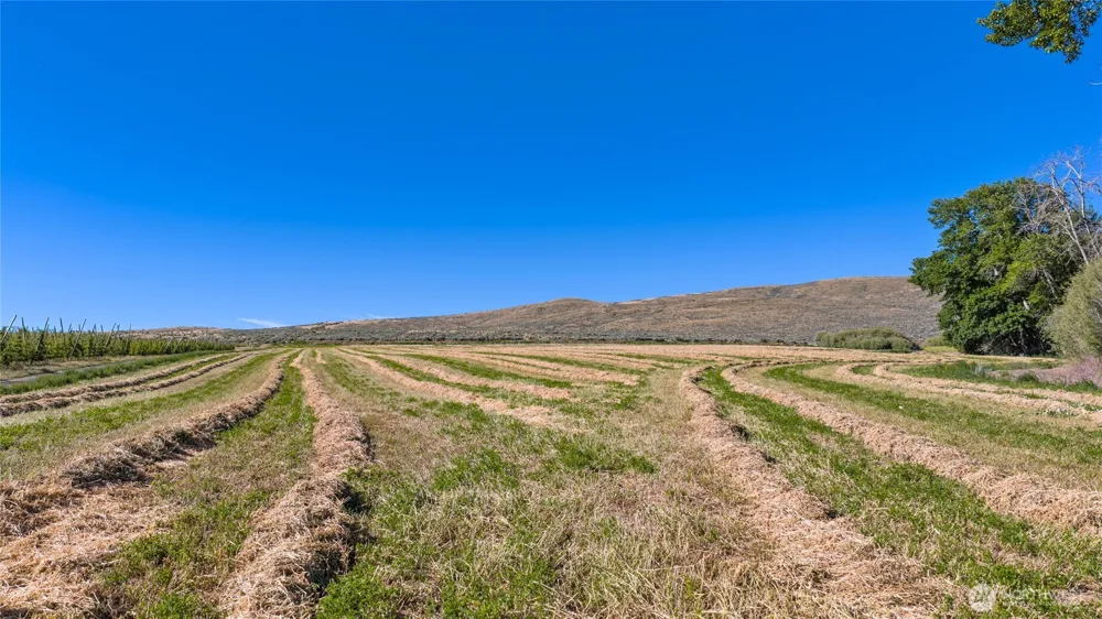 1 Borland Ellensburg, WA 98926