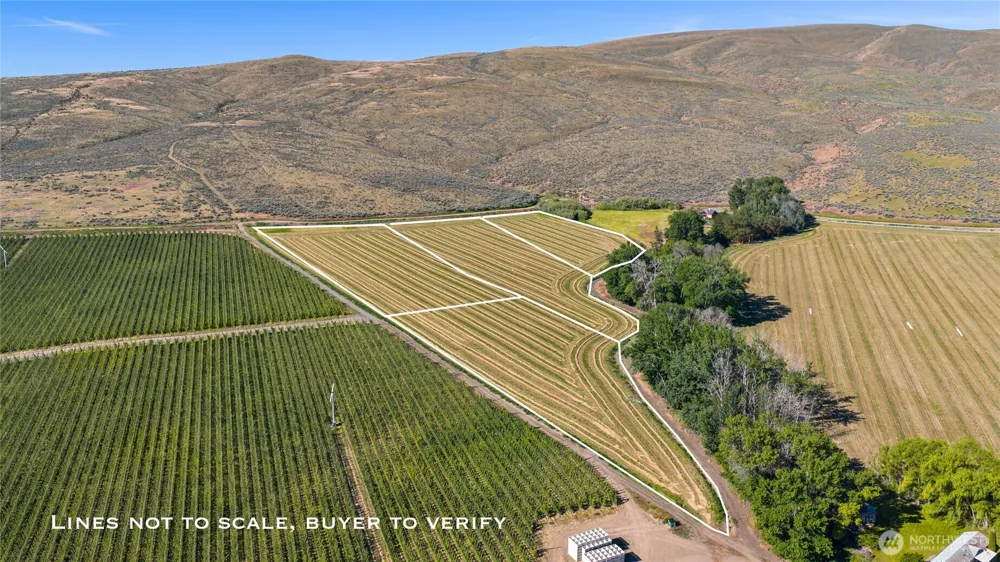 1 Borland Ellensburg, WA 98926